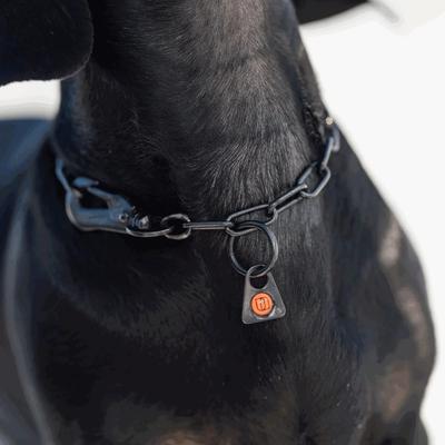 Show full view: Herm Sprenger Stainless Steel Micro Adjustable Training Chain Dog Collar, Black, 12-in neck, 2-mm wide slide 3 of 7