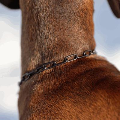 Show full view: Herm Sprenger Stainless Steel Micro Adjustable Training Chain Dog Collar, Black, 12-in neck, 2-mm wide slide 4 of 7