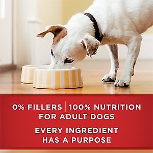 Purina ONE SmartBlend Classic Ground Beef & Brown Rice Entree Adult Canned Dog Food, 13-oz can, case of 12