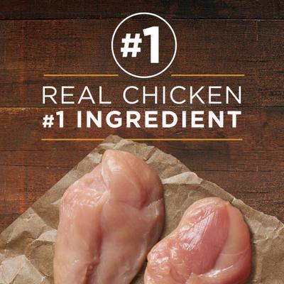 Show full view: Purina ONE SmartBlend Adult Classic Ground Chicken & Brown Rice Entree Canned Dog Food, 13-oz can, case of 4 slide 3 of 10