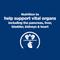 Show in main carousel: Hill's Prescription Diet Multi-Organ Support Chicken Dry Dog Food, 8.5-lb bag slide 5 of 11