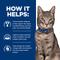 Show in main carousel: Hill's Prescription Diet Multi-Organ Support Chicken Dry Cat Food, 4-lb bag slide 7 of 10
