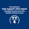 Show in main carousel: Hill's Prescription Diet Multi-Organ Support Chicken Dry Cat Food, 4-lb bag slide 5 of 10