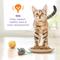 Show in main carousel: Kitten Chow Healthy Development Salmon Flavor Dry Cat Food, 14-lb bag slide 6 of 12