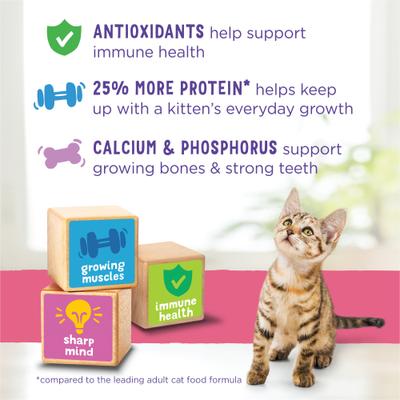 Show full view: Kitten Chow Healthy Development Salmon Flavor Dry Cat Food, 14-lb bag slide 8 of 12