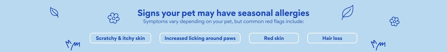 Image showcasing Allergy Relief for Cats - Free shipping | Chewy