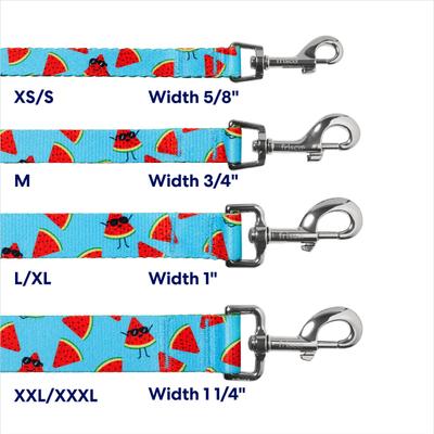 Show full view: Frisco Reversible Summer Watermelon Print Dog Leash, XS/S: 6-ft long, 5/8-in wide slide 5 of 11
