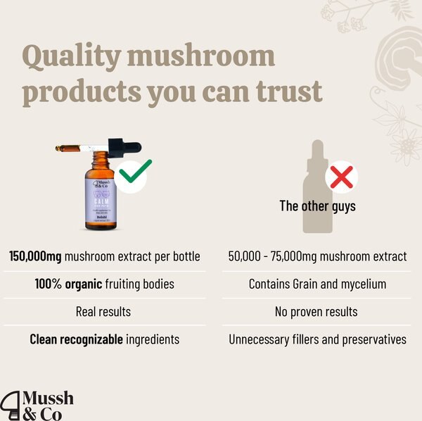 Hemp Heros Mussh & Co Calm Reishi Mushroom Liquid Supplement for Dogs & Cats, 1.69-fl oz bottle