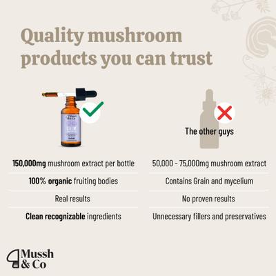 Show full view: Hemp Heros Mussh & Co Calm Reishi Mushroom Liquid Supplement for Dogs & Cats, 1.69-fl oz bottle slide 7 of 8