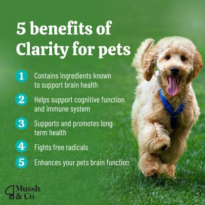 Show full view: Hemp Heros Mussh & Co Clarity Lions Mane Mushroom Liquid Supplement for Dogs & Cats, 1.69-fl oz bottle slide 4 of 8