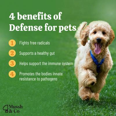 Show full view: Hemp Heros Mussh & Co Defence Turkey Tail Mushroom Liquid Supplement for Dogs & Cats, 1.69-fl oz bottle slide 4 of 8