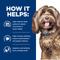 Show in main carousel: Hill's Prescription Diet Brain Care + j/d Joint Care Chicken Dry Dog Food, 8.5-lb bag slide 8 of 11