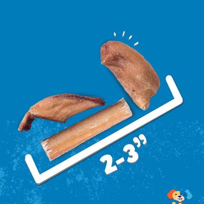 Show full view: Jack & Pup Odor-Free Beef Bully Bites Dog Chew Treats, 10-oz slide 3 of 7