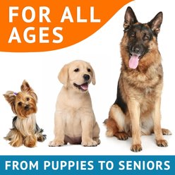 GoodGrowlies Allergy & Itch Relief Salmon Flavored Skin & Coat Chews Supplement for Dogs, 180 count slide 2 of 8