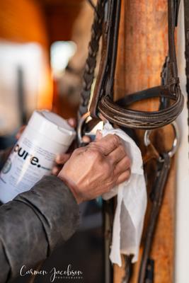 Show full view: The Infused Equestrian Pure. A Bit Wipe Horse Bit Wipes, 50 count slide 4 of 4