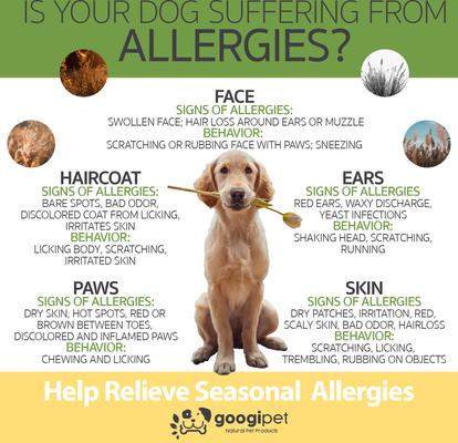 Show full view: Googipet Allergy Relief Peanut Butter Flavored Chew Supplement for Dogs, 90 count slide 7 of 9