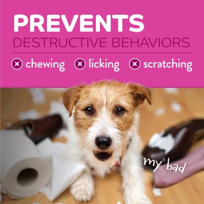 Show full view: TropiClean Chew Stop Dog & Home Deterrent Spray, 8-fl oz bottle slide 6 of 12