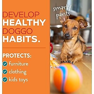 TropiClean Chew Stop Dog Deterrent Home Spray, 8-fl oz bottle