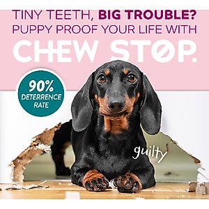 TropiClean Chew Stop Puppy Deterrent Spray, 8-fl oz bottle