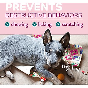 TropiClean Chew Stop Puppy Deterrent Spray, 8-fl oz bottle