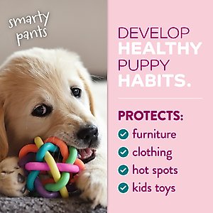 TropiClean Chew Stop Puppy Deterrent Spray, 8-fl oz bottle
