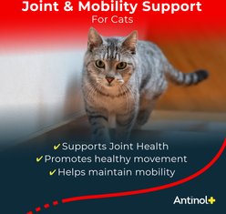 Antinol Plus Softgels Joint Supplement for Cats, 30 count slide 2 of 7