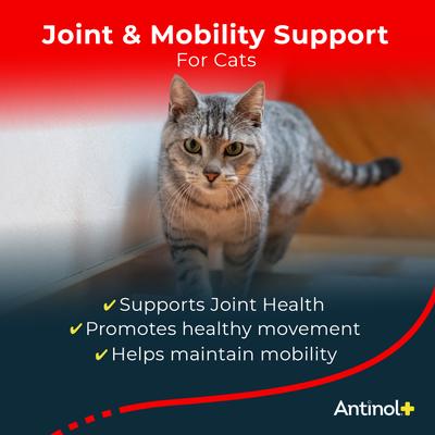 Show full view: Antinol Plus Softgels Joint Supplement for Cats, 30 count slide 3 of 8