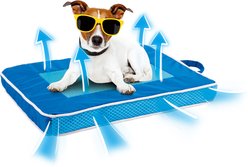allforpaws Chill Out Fresh Breeze Cooling Dog Bed, Medium