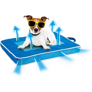 allforpaws Chill Out Fresh Breeze Cooling Dog Bed, Medium
