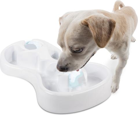 Show full view: allforpaws Chill Out Cooling Feast Dog Bowl, 1-cup slide 6 of 8