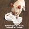 Show in main carousel: allforpaws Chill Out Cooling Feast Dog Bowl, 1-cup slide 7 of 8