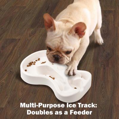 Show full view: allforpaws Chill Out Cooling Feast Dog Bowl, 1-cup slide 7 of 8