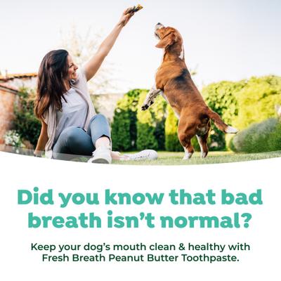 Show full view: TropiClean Fresh Breath Enticers Peanut Butter & Honey Flavored Medium Dog Dental Ball Kit slide 8 of 11