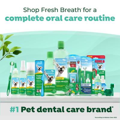 Show full view: TropiClean Fresh Breath Enticers Peanut Butter & Honey Flavored Medium Dog Dental Ball Kit slide 9 of 11