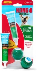 TropiClean Fresh Breath Enticers Peanut Butter & Honey Flavored Small Dog Dental Ball Kit