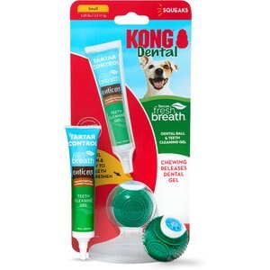 TropiClean Fresh Breath Enticers Peanut Butter & Honey Flavored Small Dog Dental Ball Kit