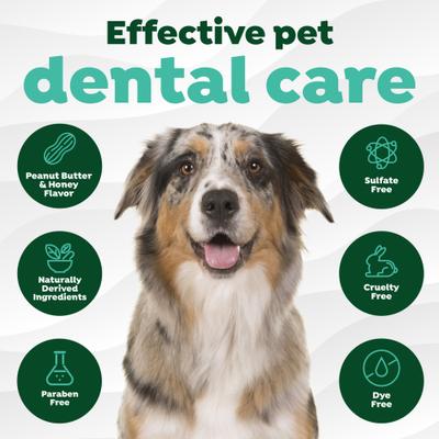 Show full view: TropiClean Fresh Breath Enticers Peanut Butter & Honey Flavored Medium Dog Dental Ball Kit slide 7 of 11