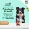 Show in main carousel: TropiClean Fresh Breath Enticers Peanut Butter & Honey Flavored Medium Dog Dental Ball Kit slide 4 of 11