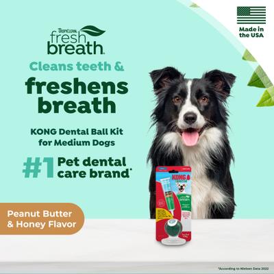 Show full view: TropiClean Fresh Breath Enticers Peanut Butter & Honey Flavored Medium Dog Dental Ball Kit slide 4 of 11