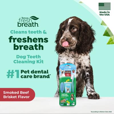 Show full view: TropiClean Fresh Breath Enticers Smoked Beef Brisket Flavored Dog Dental Kit, 2-oz tube slide 4 of 11