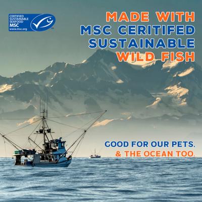 Show full view: Boat to Bowl Pet Food Wild Salmon Recipe Dry Cat Food, 3.5-lb bag slide 8 of 12