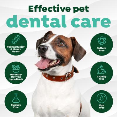 Show full view: TropiClean Fresh Breath Enticers Peanut Butter & Honey Flavored Small Dog Dental Ball Kit slide 7 of 11