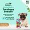 Show in main carousel: TropiClean Fresh Breath Enticers Peanut Butter & Honey Flavored Small Dog Dental Ball Kit slide 4 of 11