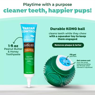 Show full view: TropiClean Fresh Breath Enticers Peanut Butter & Honey Flavored Medium Dog Dental Ball Kit slide 5 of 11