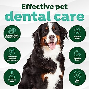TropiClean Fresh Breath Enticers Smoked Beef Brisket Flavored Dog Dental Kit, 2-oz tube