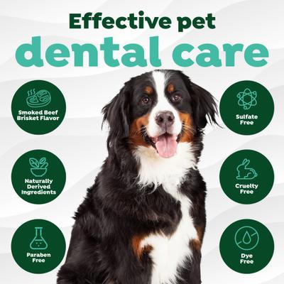 Show full view: TropiClean Fresh Breath Enticers Smoked Beef Brisket Flavored Dog Dental Kit, 2-oz tube slide 8 of 11