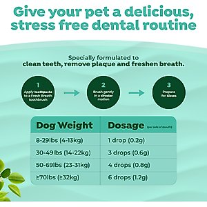 TropiClean Fresh Breath Enticers Smoked Beef Brisket Flavored Dog Dental Kit, 2-oz tube