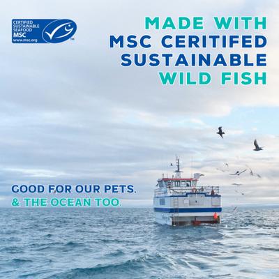 Show full view: Boat to Bowl Pet Food Wild Cod & Haddock Recipe Dry Cat Food, 3.5-lb bag slide 8 of 12