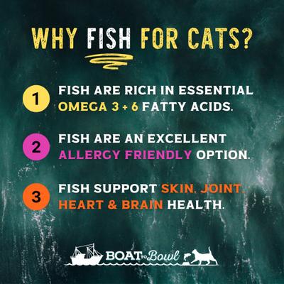 Show full view: Boat to Bowl Pet Food Wild Cod & Haddock Recipe Dry Cat Food, 3.5-lb bag slide 4 of 12