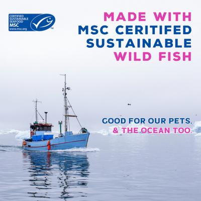 Show full view: Boat to Bowl Pet Food Wild Seafood Recipe Dry Cat Food, 3.5-lb bag slide 8 of 12